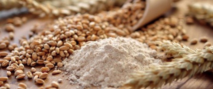 Semola rimacinata di Grano duro Molino Gloria, sicilia
