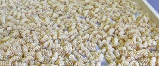 Pasta artigianale Enna